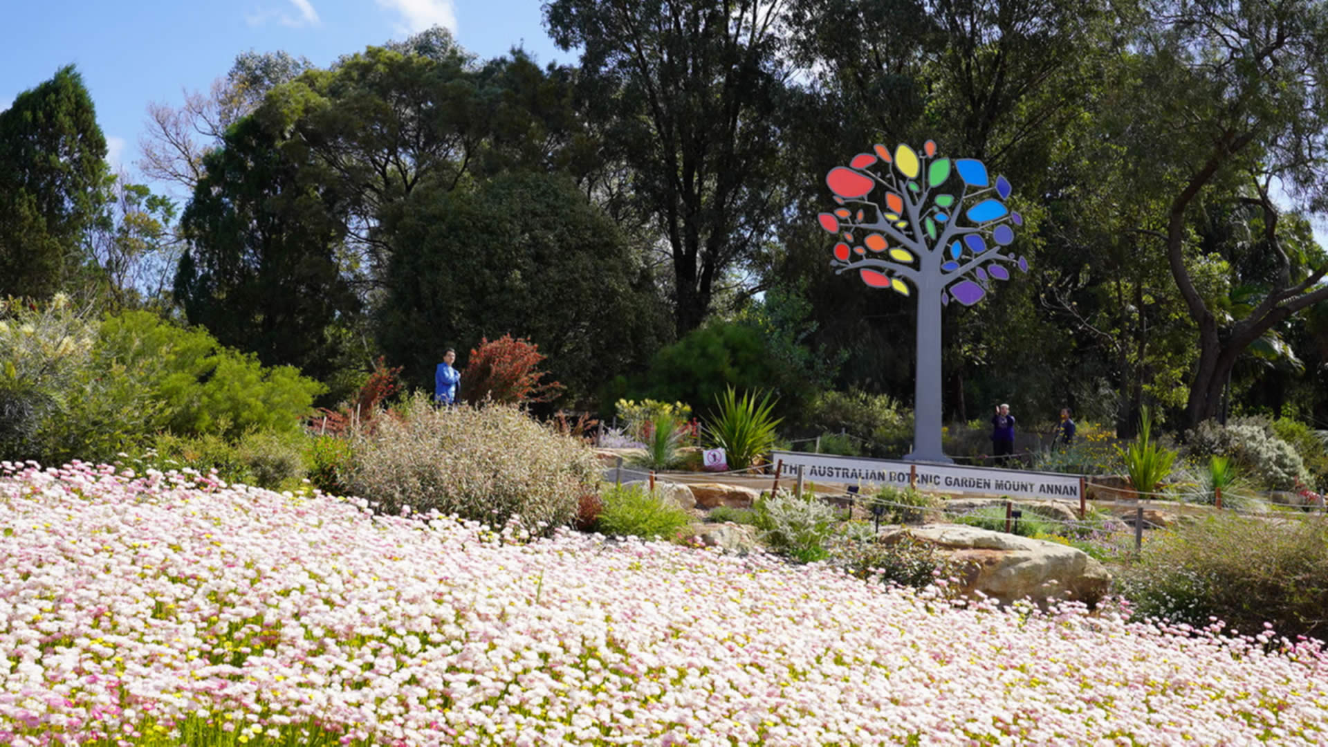 Mount Annan