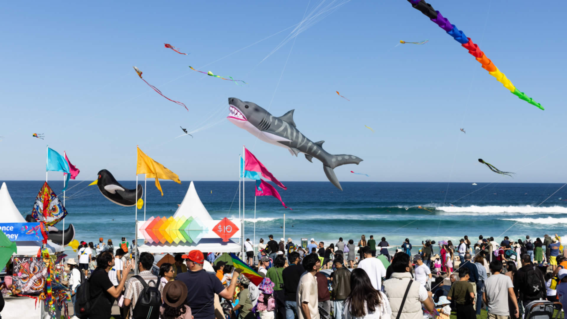Festival of the Winds