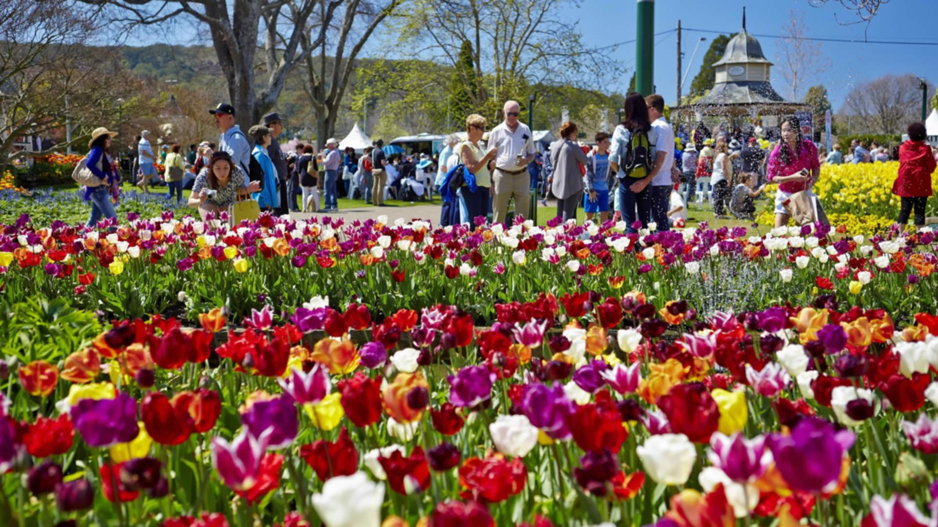 Spring Fairs