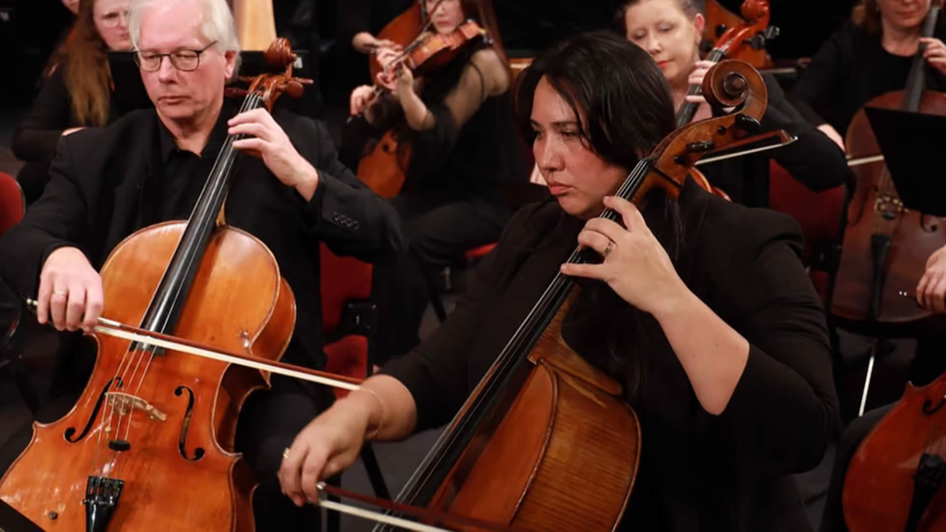 The Cellists of TMO