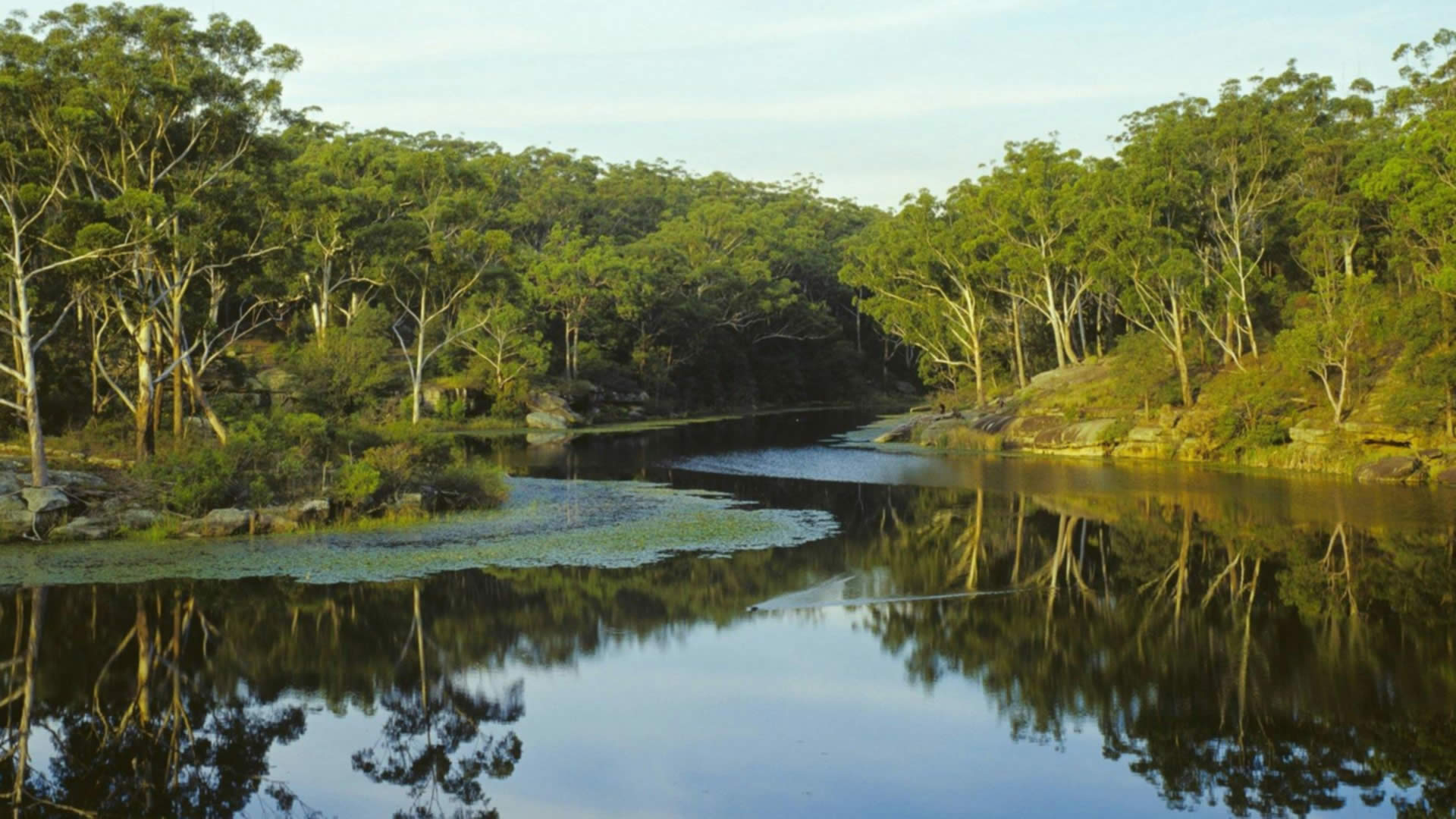 Lake Parramatta