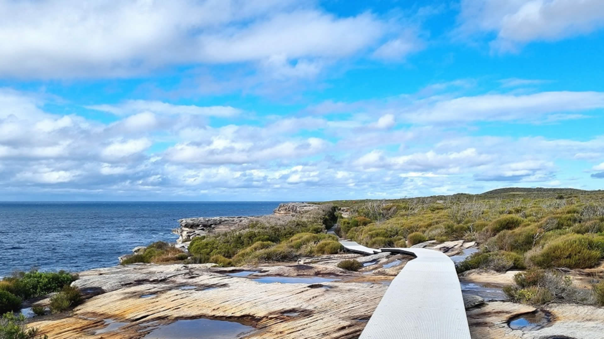 Cape Bailey Track