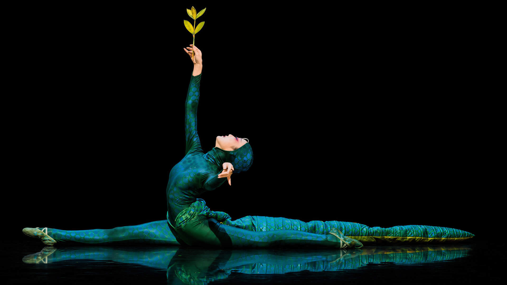 The Dragon Child performance