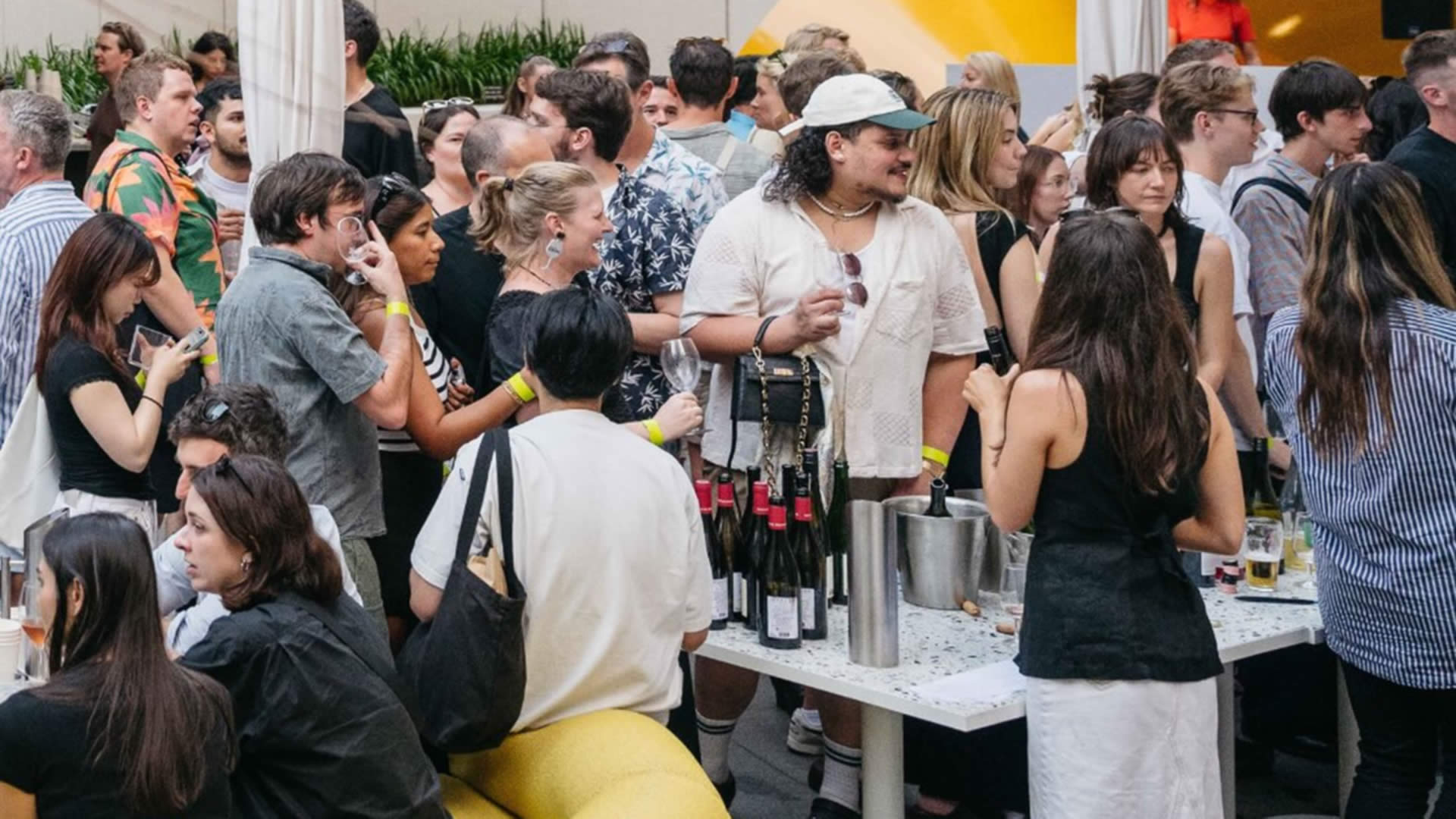 Chardy Party