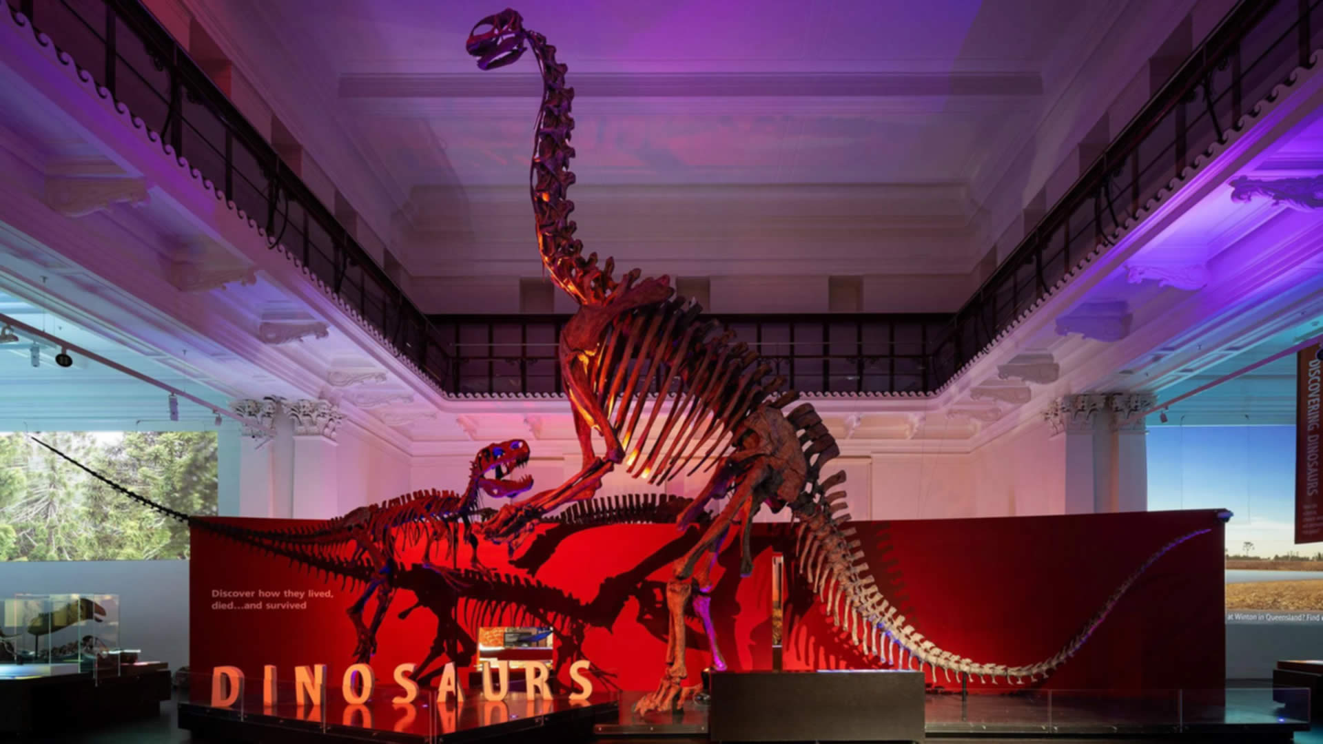 The Australian Museum