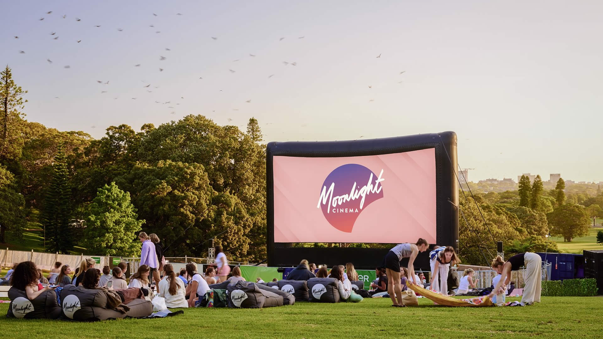 Movies in the Park