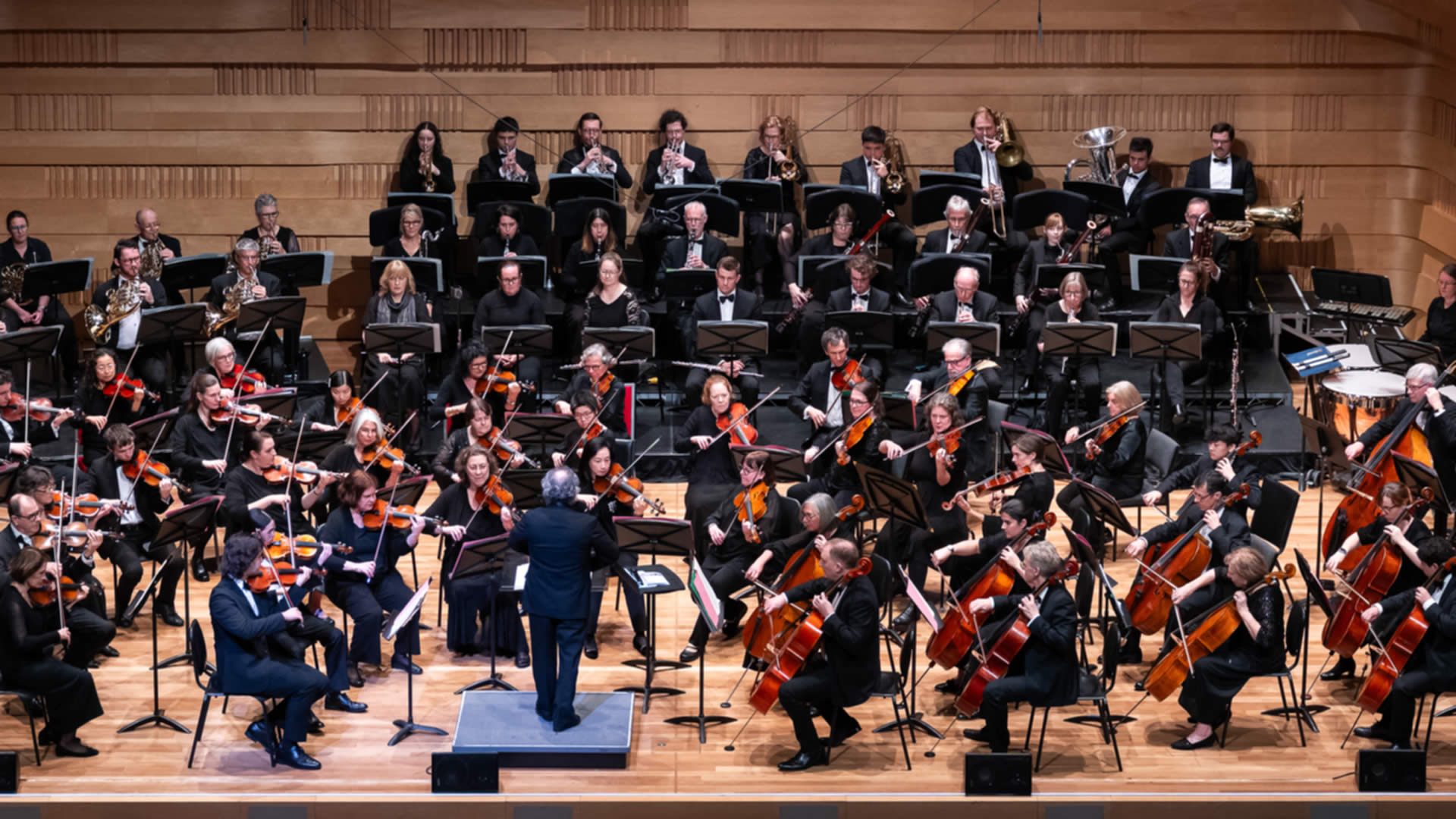 Magnificent Young Musicians