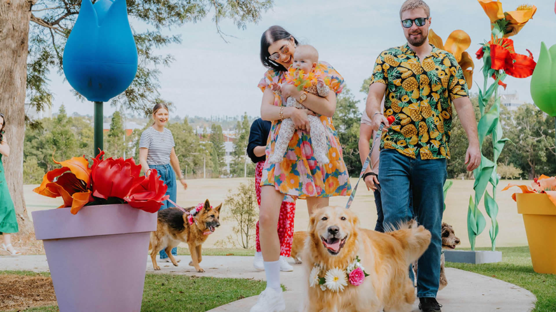 Street Paws Festival