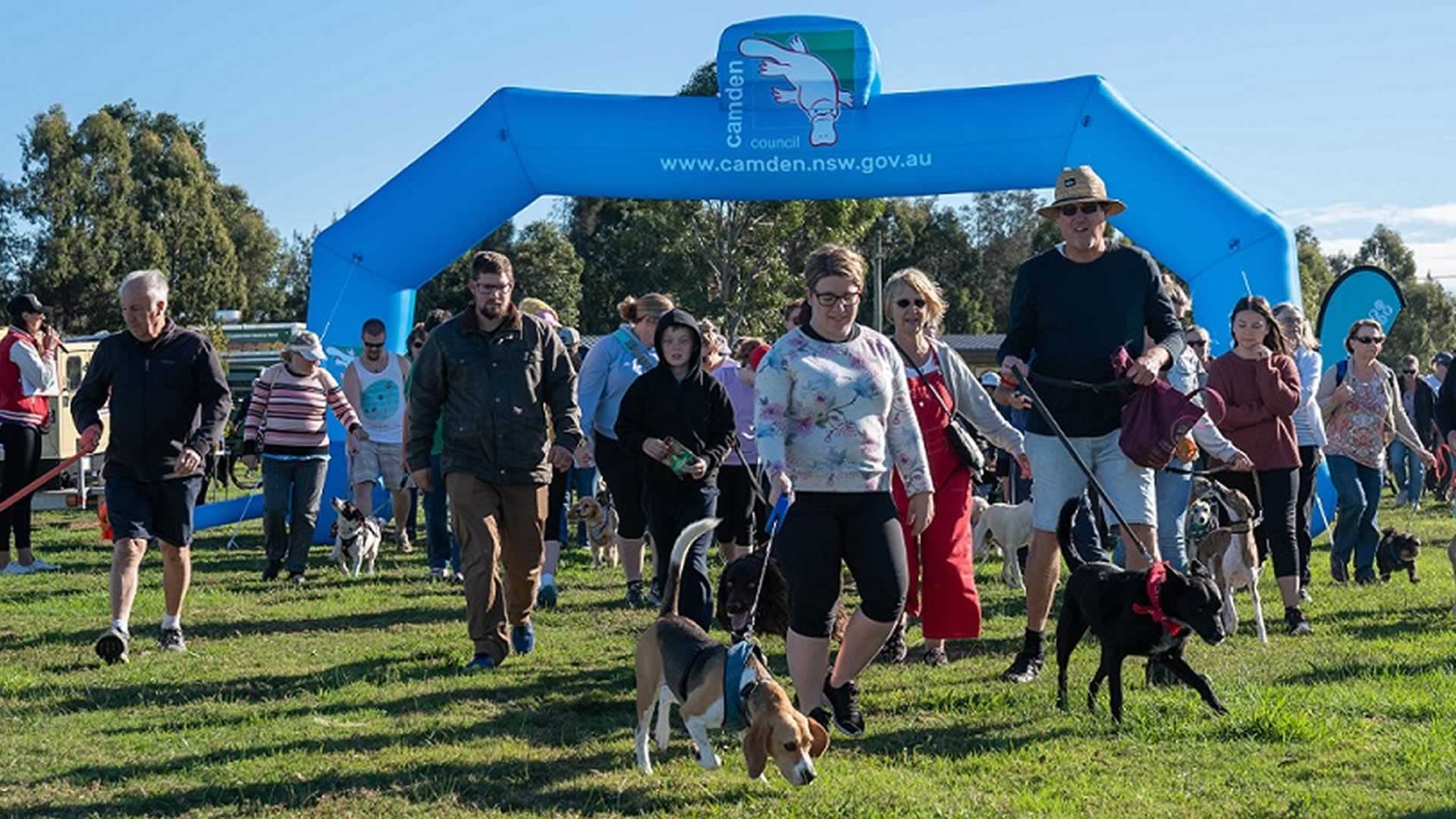 Paws in the Park
