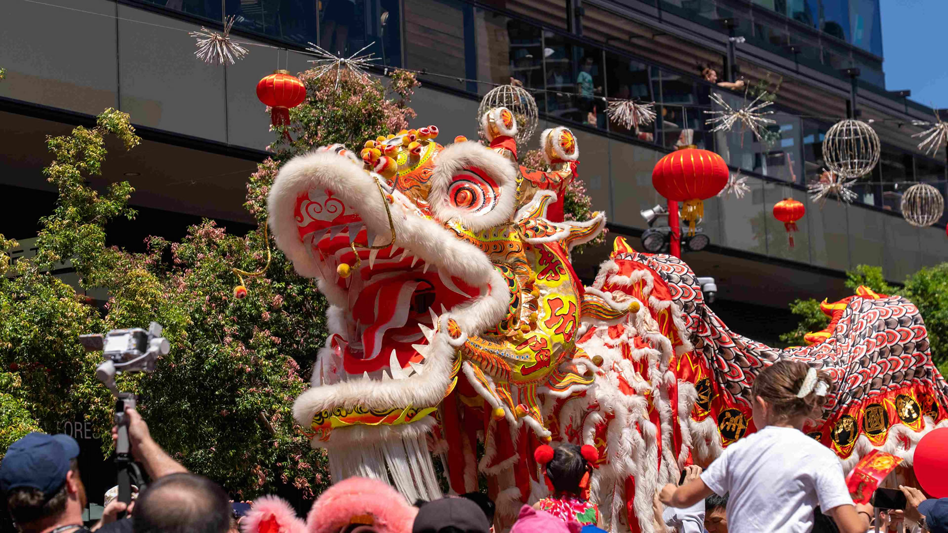 Year of the fire horse