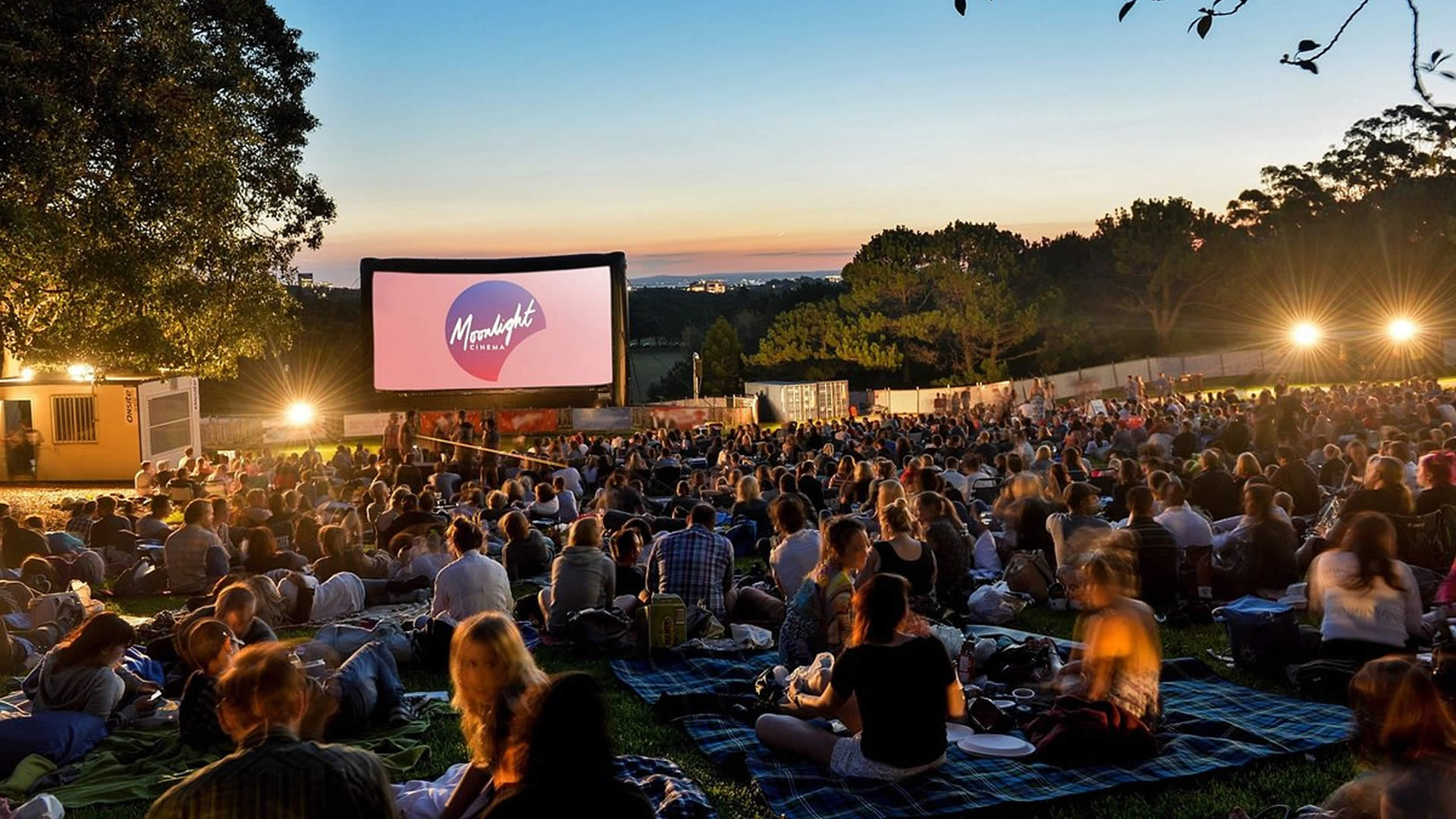 Movies in the Park