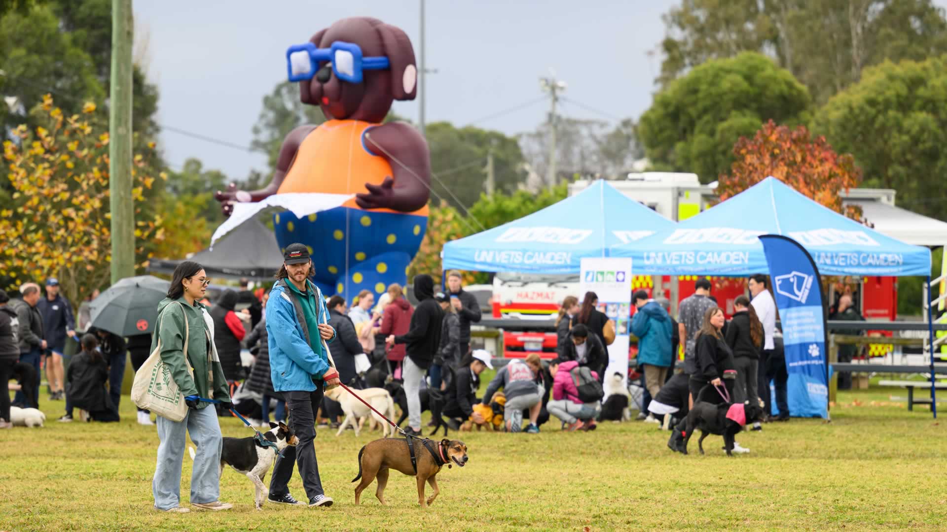 Paws in the Park