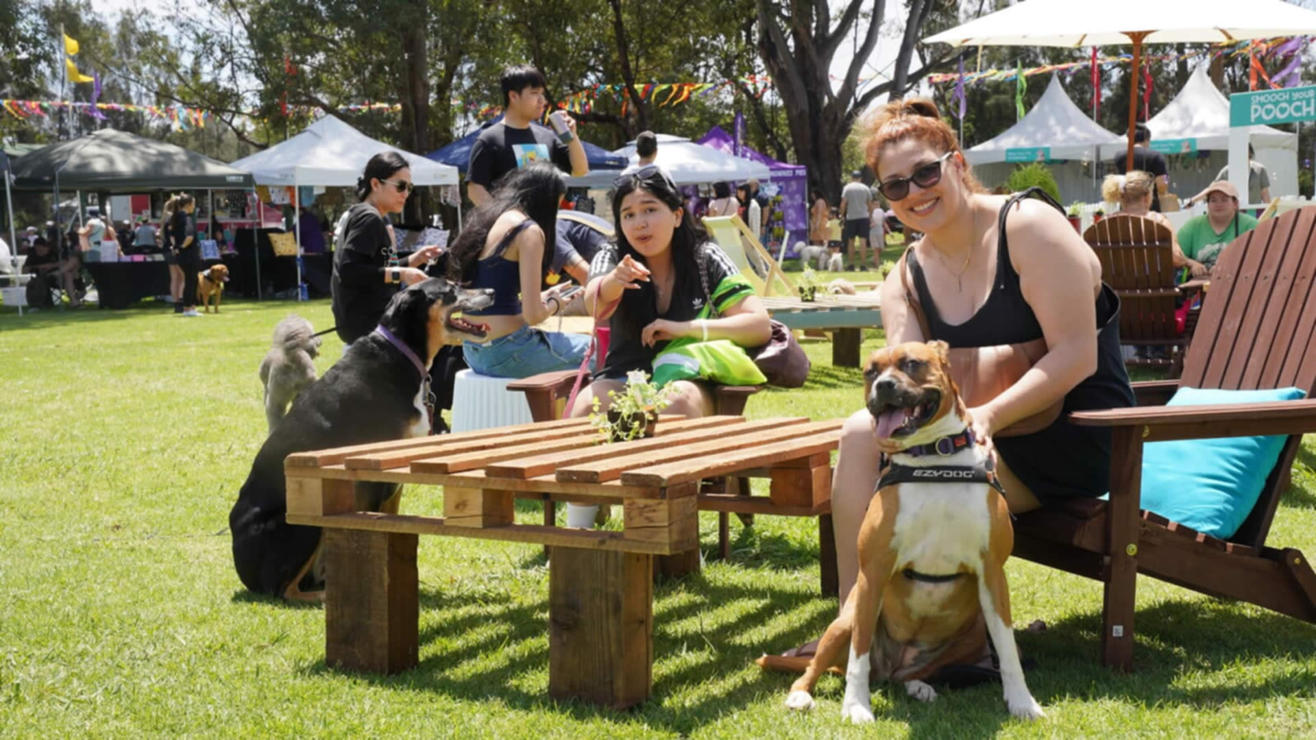 Pets Day Out