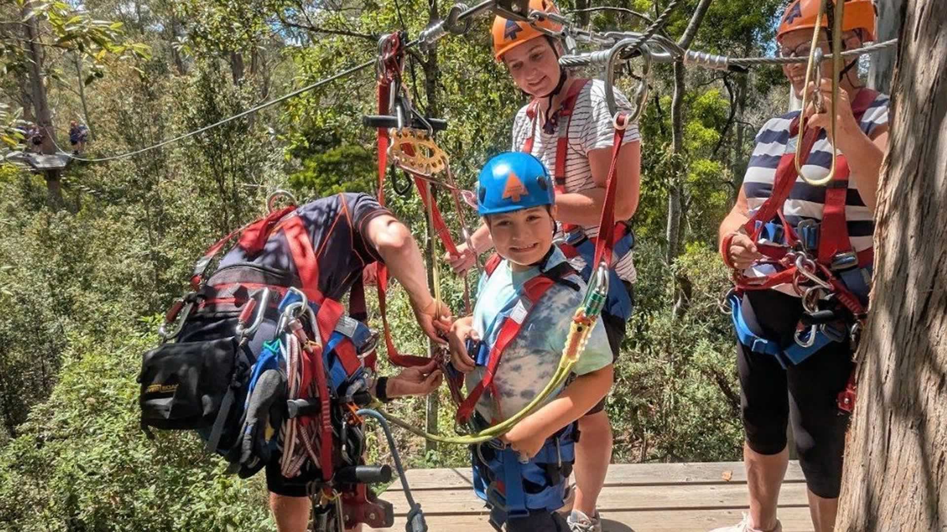 Treetops Adventure