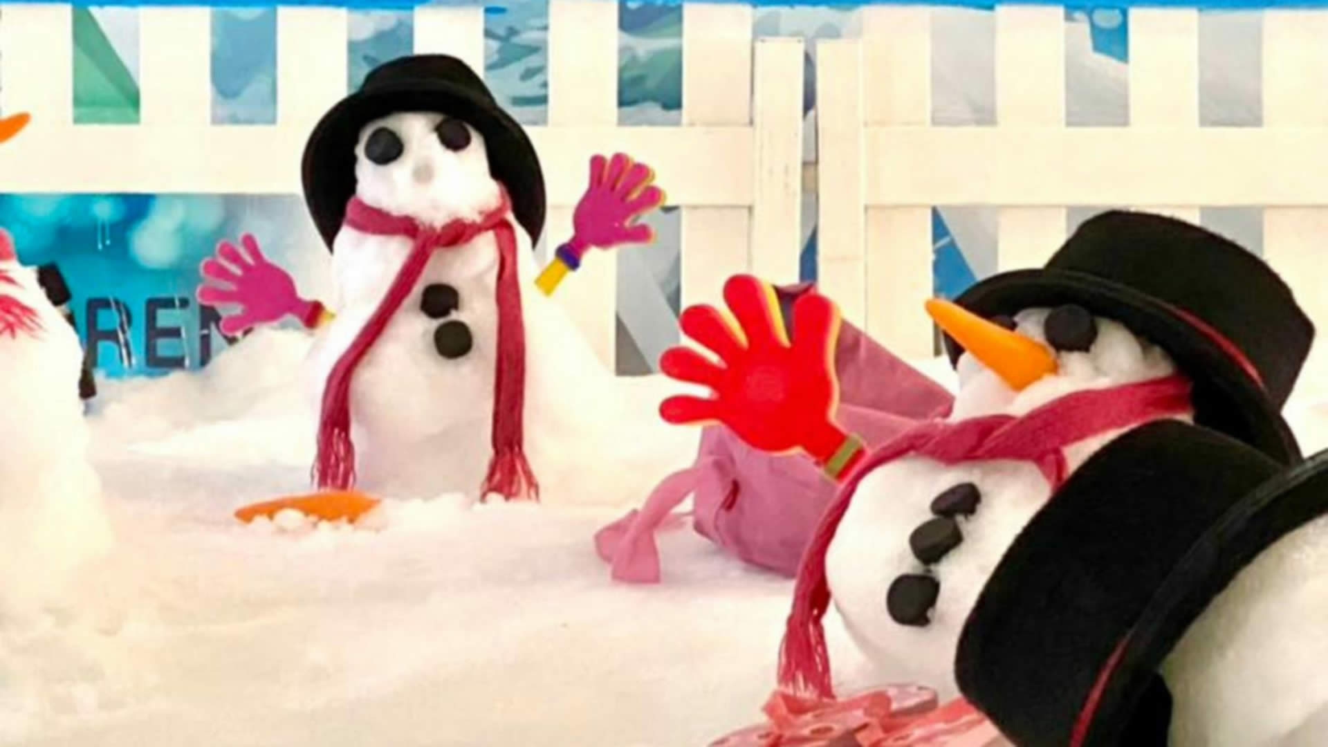 Snowtopia
