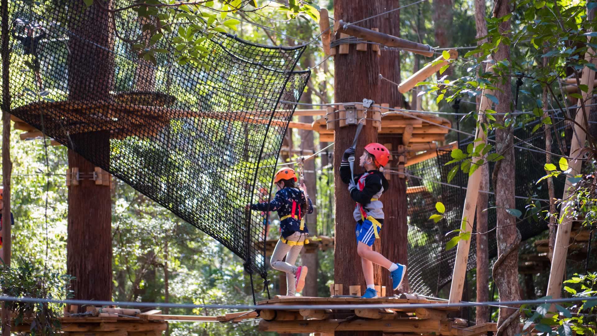 Treetops Adventure