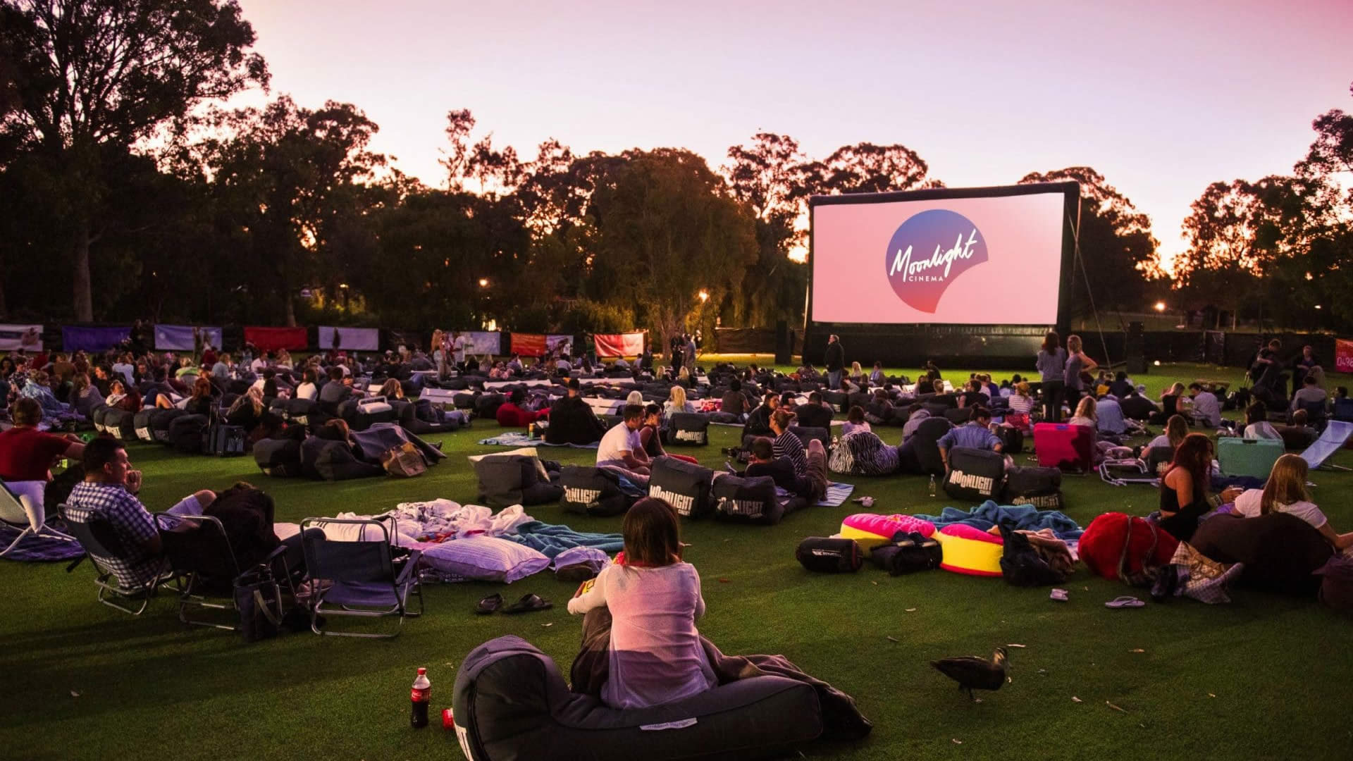 Movies in the Park