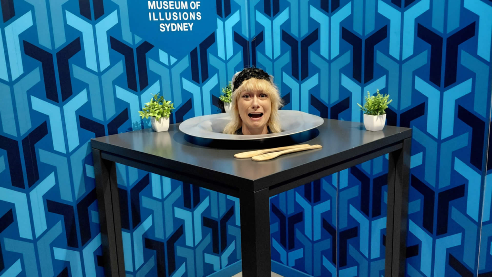 Museum of Illusions