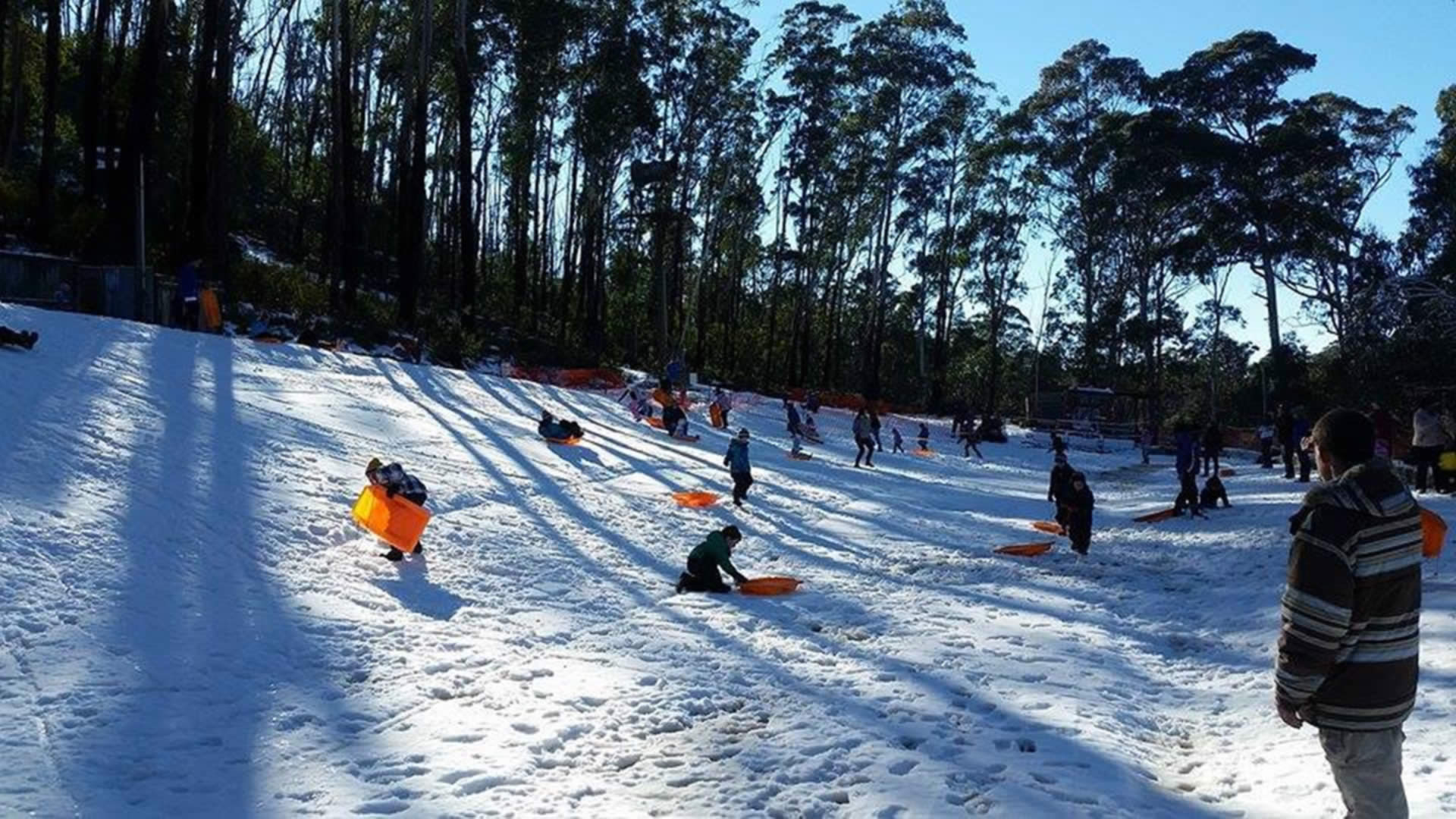 Snow in Sydney