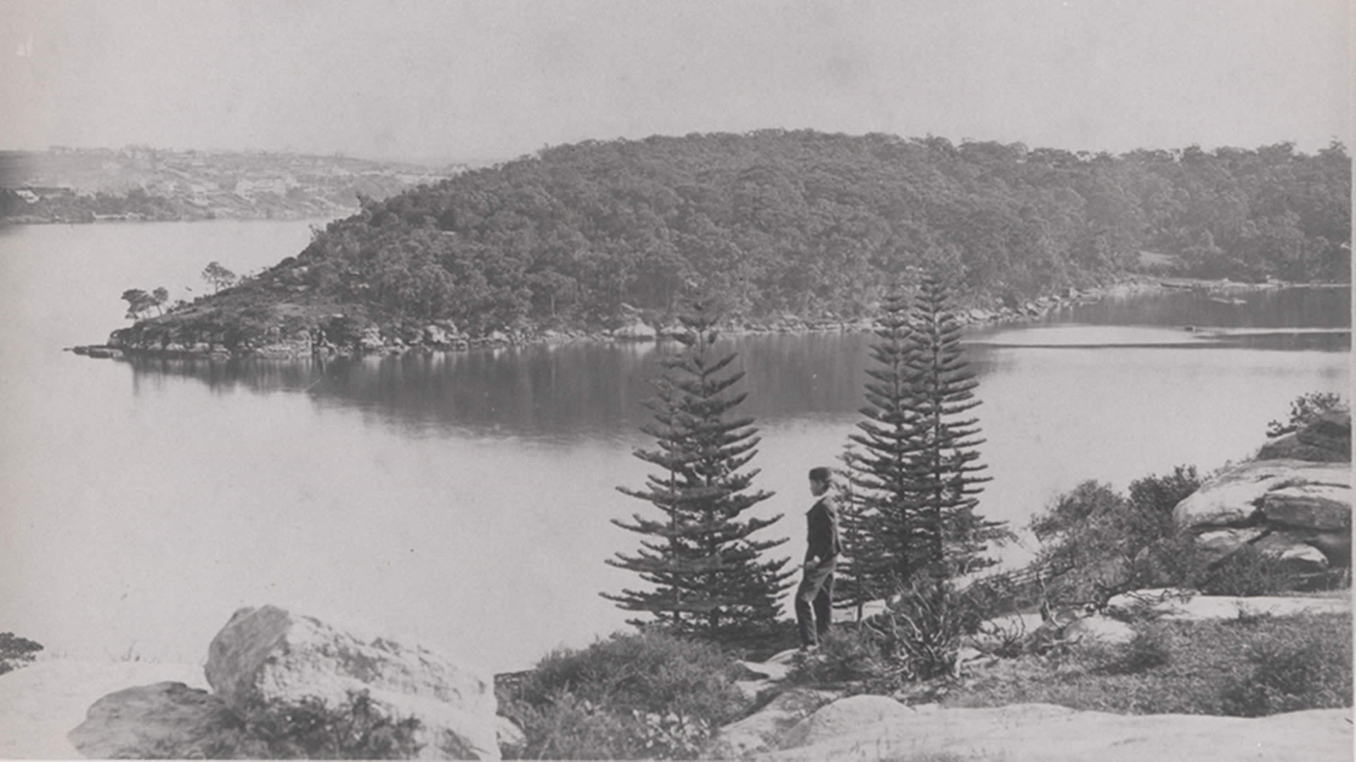 Balls Head and Berry Island