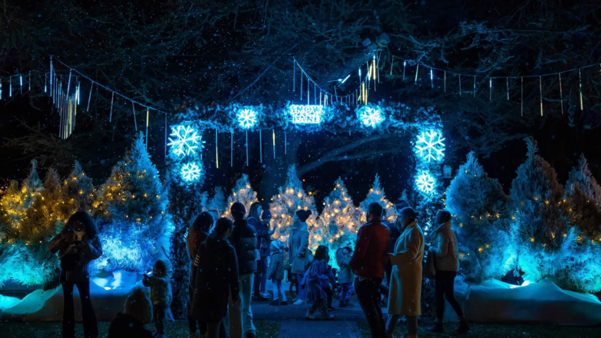 Winter Festivals