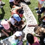 Sutherland Shire's NAIDOC Community Festival Will Celebrate 50 Years of Deadly at Cronulla