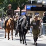 ANZAC Day In Camden: Dawn, Memory, And Community In Sydney’s Rural Fringe