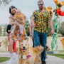 Street Paws Festival Will Transform Lane Cove Into A Celebration Of Pets And Community