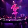 Club Flamingo | A review by Georgia Cassimatis